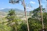 Land for sale in Tha Yu, Phang Nga