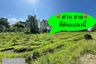 Land for sale in Nong Nak, Saraburi
