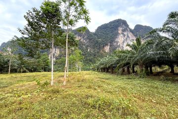 Land for sale in Khao Thong, Krabi