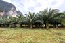 Land for sale in Khao Thong, Krabi