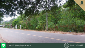 Land for sale in Si Sunthon, Phuket