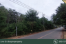 Land for sale in Si Sunthon, Phuket