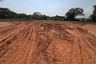 Land for rent in Tha Wang Tan, Chiang Mai