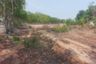 Land for sale in Sanam Khli, Suphan Buri