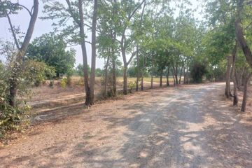 Land for sale in Sanam Khli, Suphan Buri