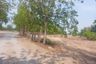 Land for sale in Sanam Khli, Suphan Buri