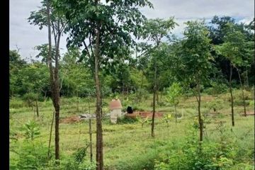 Land for sale in Chorakhe Sam Phan, Suphan Buri