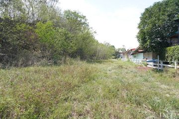 Land for sale in Pak Chong, Nakhon Ratchasima