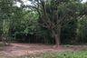 Land for sale in Don Thong, Phitsanulok