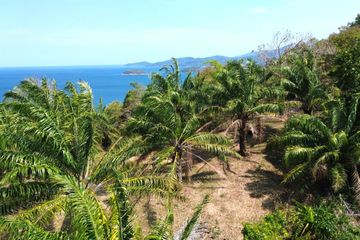 Land for sale in Karon, Phuket