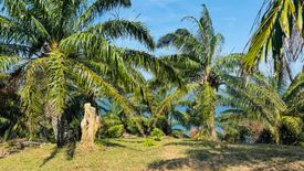 Land for sale in Karon, Phuket