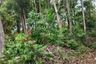 Land for sale in Khao Saming, Trat