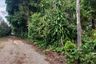 Land for sale in Khao Saming, Trat