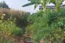 Land for sale in Bang Sao Thong, Samut Prakan