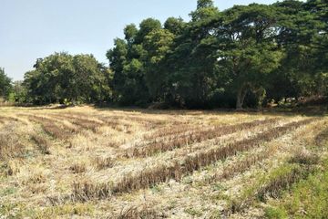 Land for sale in Hankha, Chainat
