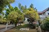 6 Bedroom House for Sale or Rent in Chang Khlan, Chiang Mai