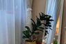 1 Bedroom Condo for rent in The Fore Condominium, Suthep, Chiang Mai