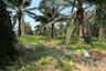 Land for sale in Khao Khan Song, Chonburi