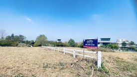Land for sale in Pak Chong, Nakhon Ratchasima