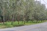 Land for sale in Khao Khan Song, Chonburi