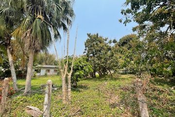 Land for sale in Huai Sai, Chiang Mai