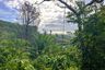 Land for sale in Tha Yu, Phang Nga
