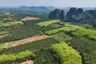 Land for sale in Thap Prik, Krabi