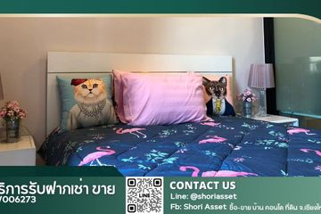 1 Bedroom Condo for rent in Palm Springs Nimman Phoenix, Suthep, Chiang Mai