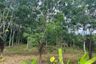 Land for sale in Tha Yu, Phang Nga