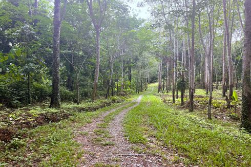 Land for sale in Tha Yu, Phang Nga