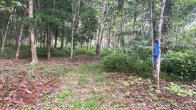 Land for sale in Tha Yu, Phang Nga