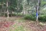 Land for sale in Tha Yu, Phang Nga