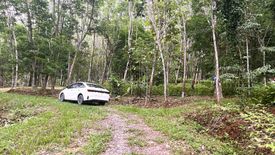 Land for sale in Tha Yu, Phang Nga