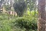 Land for sale in Tha Yu, Phang Nga
