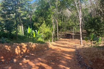 Land for sale in Tha Yu, Phang Nga