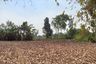 Land for sale in Na Jomtien, Chonburi