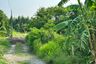 Land for sale in Huai Kapi, Chonburi