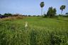 Land for sale in Cha am, Phetchaburi