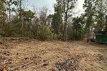 Land for sale in Rim Tai, Chiang Mai
