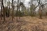Land for sale in Rim Tai, Chiang Mai