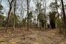 Land for sale in Rim Tai, Chiang Mai