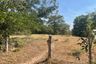 Land for sale in Bua Yai, Nakhon Ratchasima