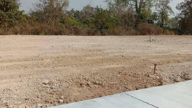 Land for sale in Buak Khang, Chiang Mai