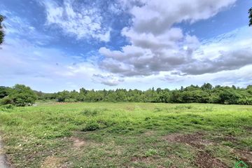 Land for sale in Pa Pong, Chiang Mai