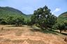 Land for sale in Sam Roi Yot, Prachuap Khiri Khan