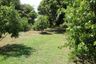 Land for sale in Hang Hong, Sakon Nakhon