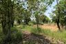 Land for sale in Phak Top, Udon Thani