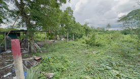 Land for sale in Pak Kret, Nonthaburi