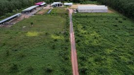 Land for sale in Wang Mai, Chanthaburi