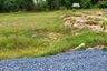 Land for sale in Khao Phra, Nakhon Nayok